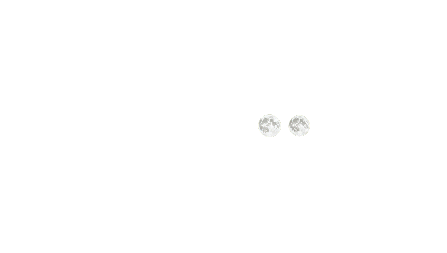 Georgia Moon Studios